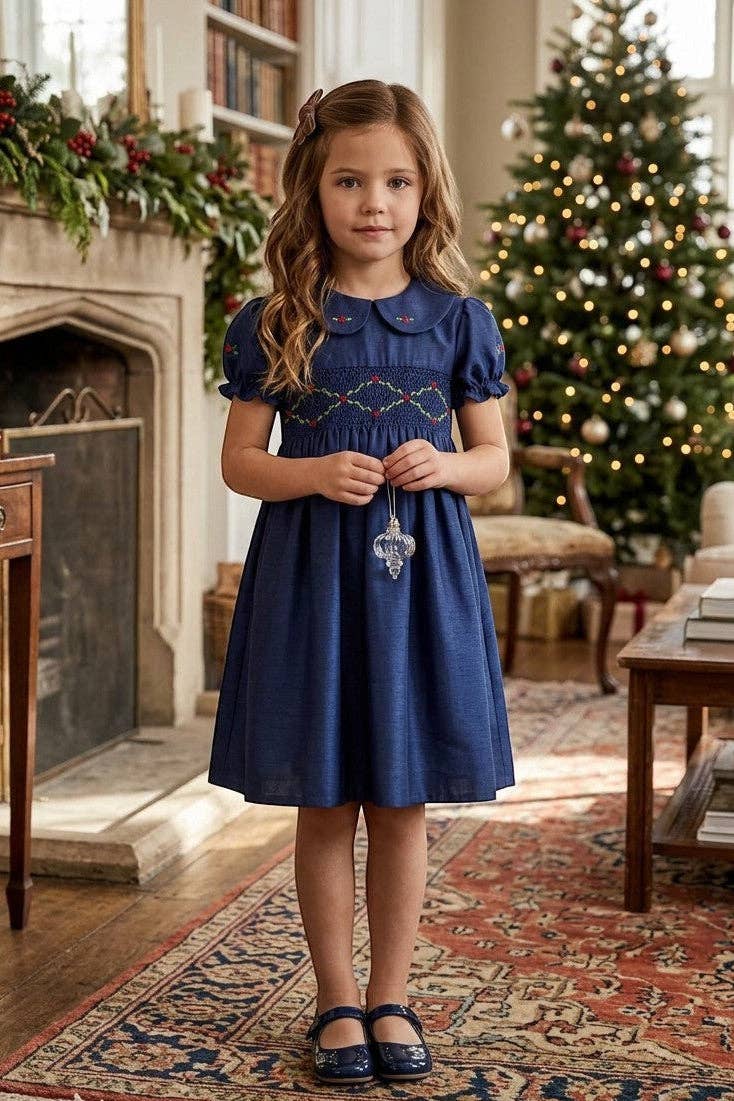 Navy Embroidered Dress for Girls
