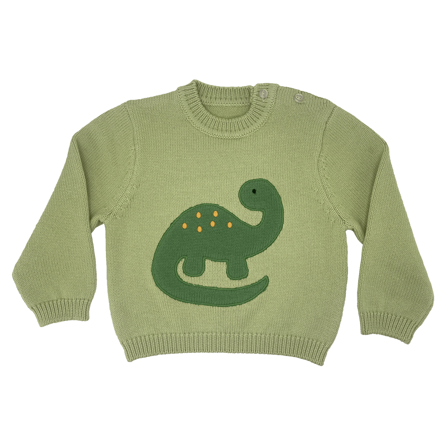 Dinosaur Applique Knit Sweater