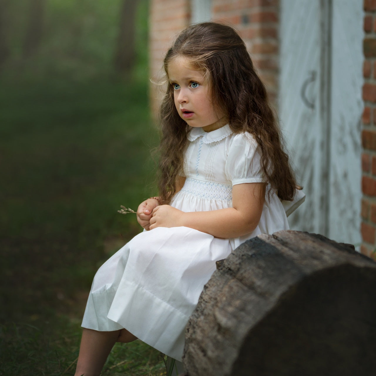 Vintage Smocked Dress