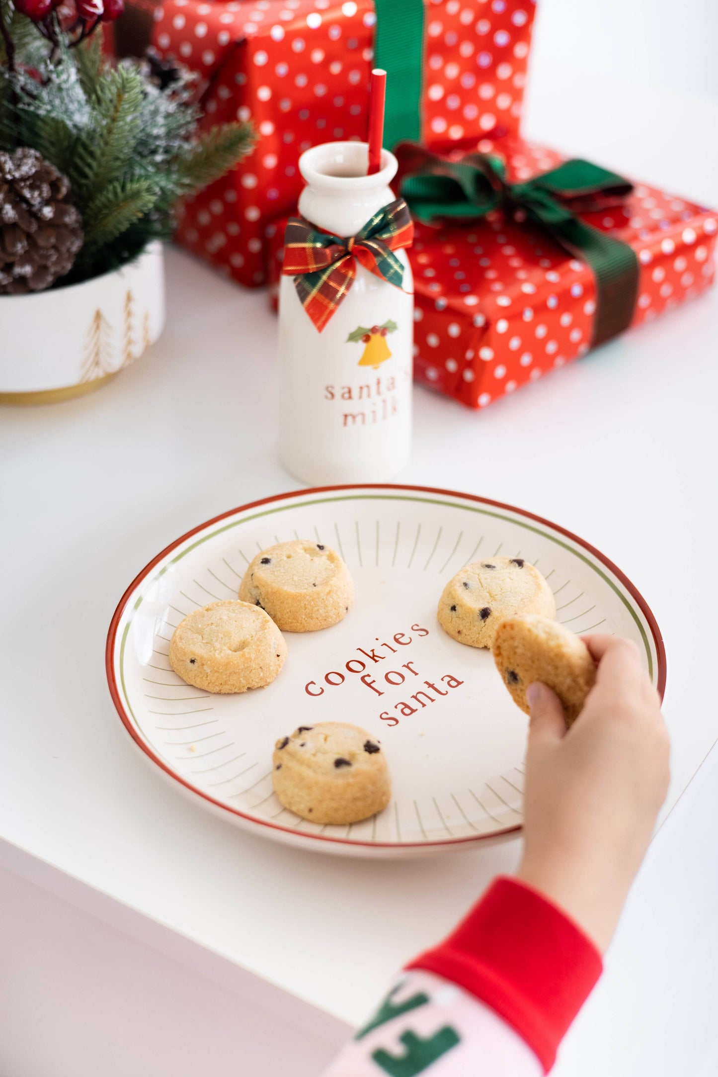 Santa Christmas Cookie Plate & Milk Jug Holiday Set