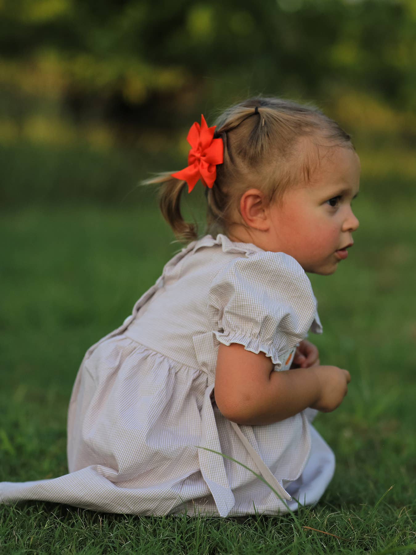 Halloween & Thanksgiving Pumpkin Embroidered Smocked Plaid Girls Dress
