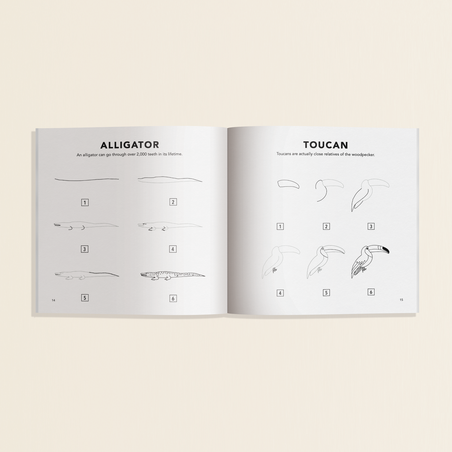 All The Animals: A How to Draw Travel Size Art Book for Kids