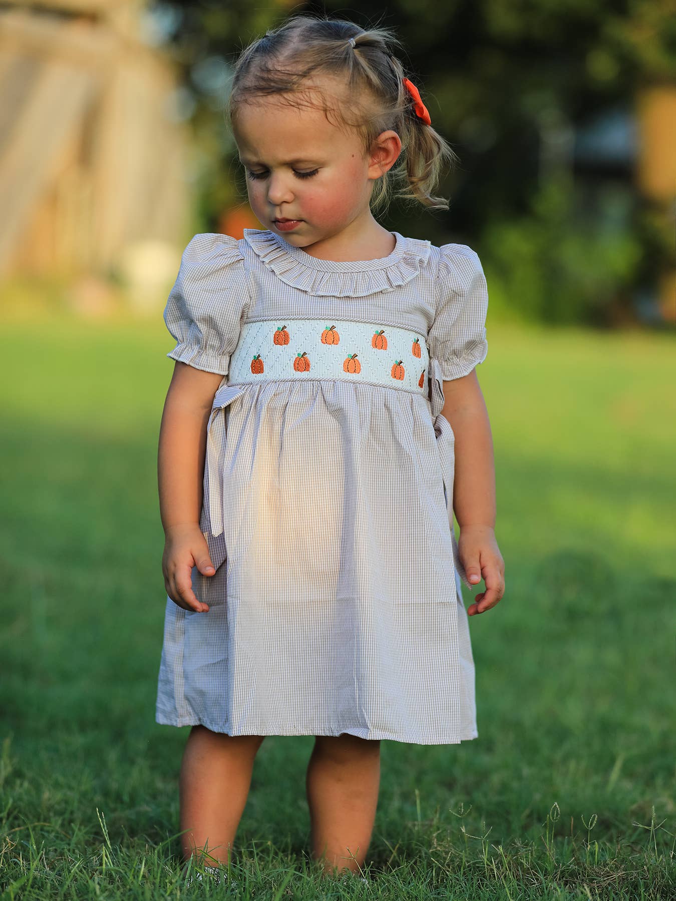 Halloween & Thanksgiving Pumpkin Embroidered Smocked Plaid Girls Dress