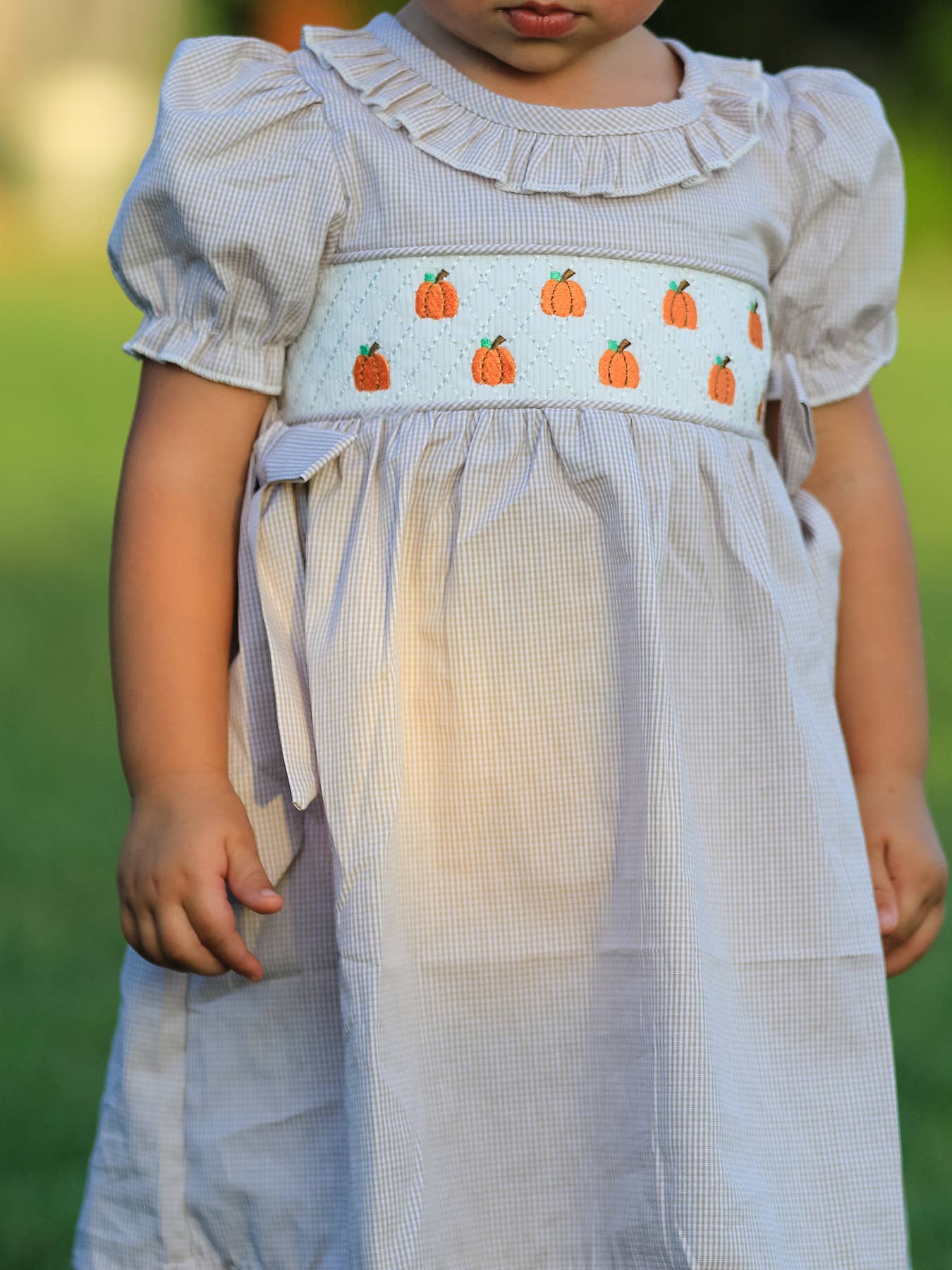Halloween & Thanksgiving Pumpkin Embroidered Smocked Plaid Girls Dress